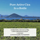 [ENHYPEN PICK] mixsoon Soondy Centella Asiatica Essence 100ml