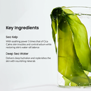 Refreshing Sea Kelp Real Deep Mask (4ea)