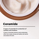 Bifida Biome Concentrate Cream 50ml / 1.69 fl. oz.