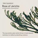 Jericho Rose Cr?me Nutrition Tube 75ml