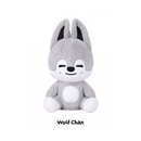 [PRE-ORDER] Stray Kids - SKZOO Plush Dancing Ver. ['RUN IT' World Tour Official MD]