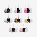 [PRE-ORDER] Stray Kids - SKZOO Secret Plush Micro Ver. ['RUN IT' World Tour Official MD]