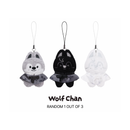 [PRE-ORDER] Stray Kids - SKZOO Secret Plush Micro Ver. ['RUN IT' World Tour Official MD]
